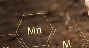 Canadian Phosphate acquires Diamond Mountain phosphate project in Utah