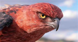 Fortescue is going to buy Red Hawk Mining. Why, and who are they?