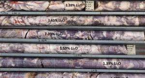 Olympio sniffs pegmatites of up to 2.3% lithium in first pass Canadian exploration