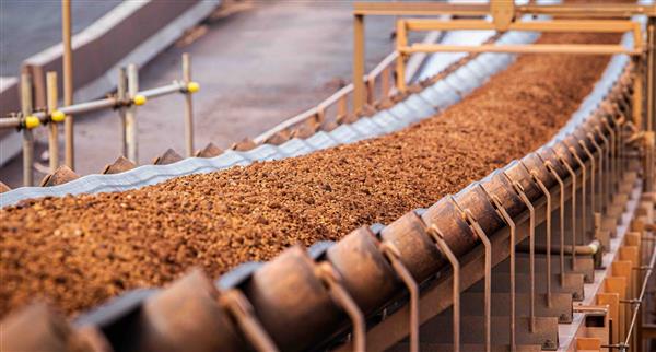 A conveyer carrying crushed ore.