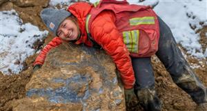 Felix Gold uncovers additional shallow high-grade gold across NW Array