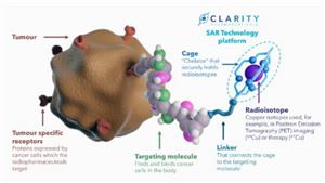 Clarity Pharmaceuticals' (ASX:CU6) ongoing trials reach highest dose level