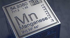 Macro Metals picks up 80% in Firebird's manganese plays; mining services operations to launch if decision to mine passed