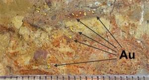 SQX Resources reports multiple high-grade gold intercepts at Red Bird