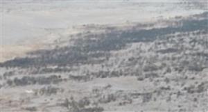 Black Canyon achieves significant manganese grades in beneficiation testwork