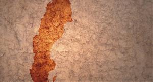 Bastion sees echoes of its Gyttorp Cu and REE mineralisation at new Swedish tenements
