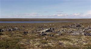 Viridis bursts +50% after landing long-awaited environmental approval for Colossus