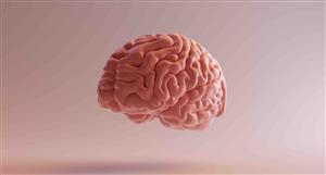 Neuren sees FDA greenlight for 3rd trial into children with Phelan-McDermid syndrome