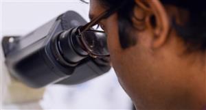 Nexsen accelerates global rollout for StrepSure