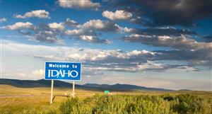 Pioneer Lithium hits high-grade tungsten and gold at North Pine, Idaho