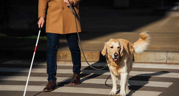 Blind person with guide dog