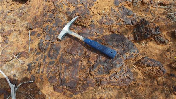 Mount Ridley Mines reports wide, high-grade REE hits at namesake ...