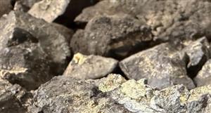 Cobalt Blue forms US-aimed plant consortium to unlock subsea critical minerals riches