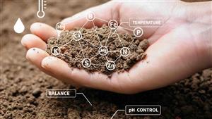 Augustus Minerals kicks off Ti-Tree soil sample run