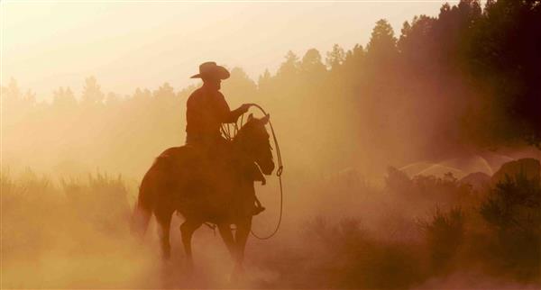 Cowboy State concept Wyoming