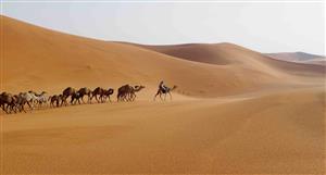 Metal Bank JV ink fresh exploration permit in Saudi Kingdom