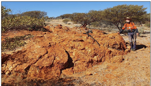 Krakatoa Resources (ASX:KTA) identifies widespread pegmatites at Mt Clere, WA