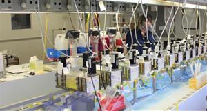 Arafura Rare Earths jumps +6% on go-ahead for Nolans Rare Earths project