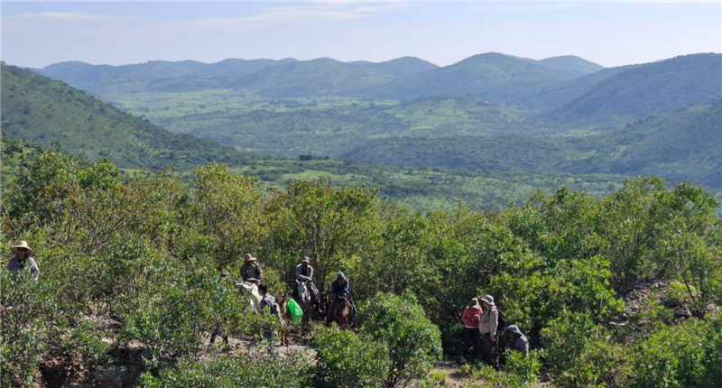 The Los Lirios Antimony Project