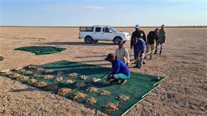 Arcadia Minerals finishes September quarter with lithium exploration ongoing