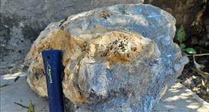 Top sampling tells EVR that Los Lirios is an 'exceptional, high-grade antimony system'