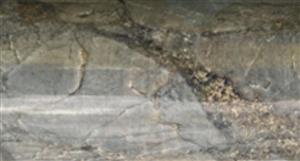 'Another encouraging step': Catalina strikes at Viper prospect at Central Yilgarn