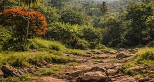 Dalaroo Metals completes high priority soil sampling at Bondoukou: drilling looming
