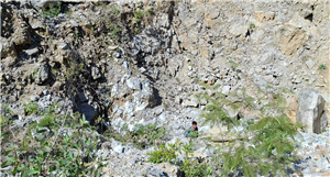 'Clear and aggressive': EV Resources identifies scale potential, drill targets at Lirios 1 in Oaxaca
