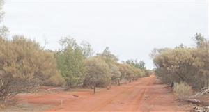 Miramar eyes 'self-funded status' after uncovering 600 metres shallow gold strike in Highway drilling