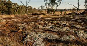 Strategic chases 'compelling' copper-gold targets at Isa North with $250k grant in hand