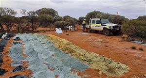 'Closely match our model': Podium obtains strong PGM grades with Parks Reef results