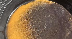 Lachlan Star sights visible fine gold in chip samples at New Waverley