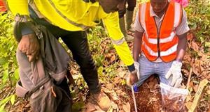 Dalaroo starts 4,400-sample soil hunt to test 'key value' across 9km-long gold corridor at Goldridge