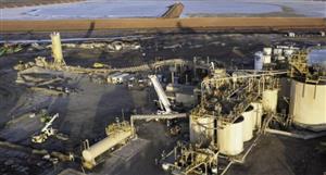 'Ticks many boxes': Black Cat Syndicate completes strategic Kalgoorlie-Boulder tenement acquisition