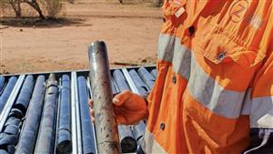 Toro Energy (ASX:TOE) continues to unlock large-scale nickel-sulphide mineralisation at Dimma, WA