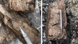 Loyal Lithium (LLI) discovers multiple spodumene-bearing pegmatites at Trieste project, Canada