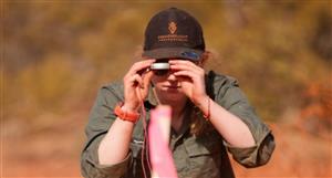 Dreadnought uncovers new camp-scale prospect at Mangaroon