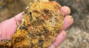 Meteoric Resources unveils confidence boosting Caldeira DFS