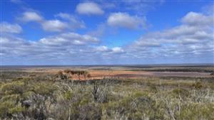 Larvotto Resources (ASX:LRV) to commence drilling at Eyre project, WA