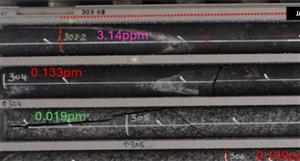 Dynamic Metals hits intersect at 300m at Cognac West gold project