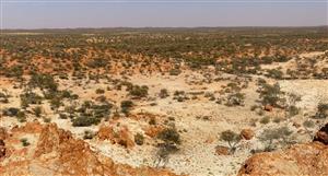 'Advancing rapidly': Premier1 Lithium uncovers compelling gold target at Abbotts North