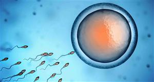Sperm tech player Memphasys ships unit to Dubai – but can the stock attract liquidity?